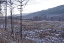 #9: Вид с дороги на место с пересечением/Confluence view from the road