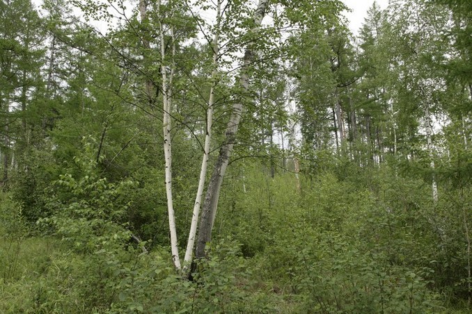 General view
