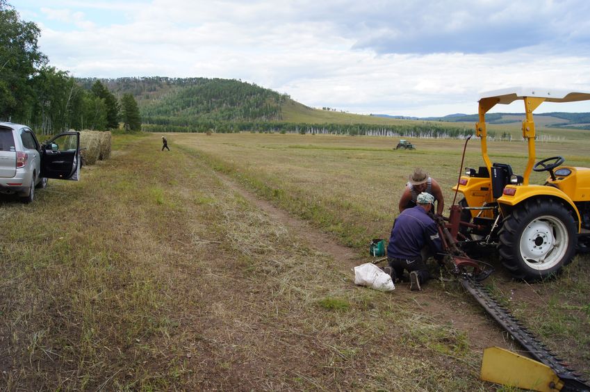 Сенокос / Haymaking