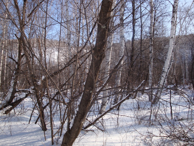 Вид на точку/View towards the confluence