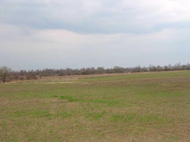 View to North