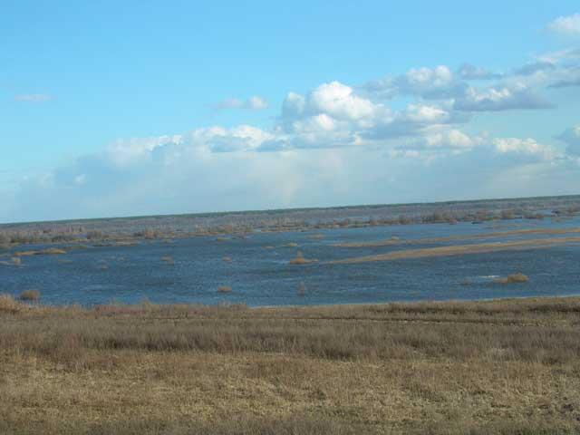 Desna river waters