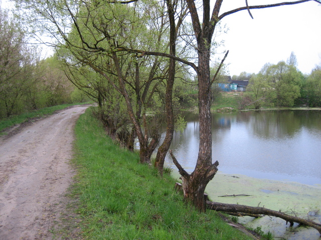 Sosnovka. 700 m from the point.