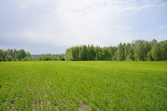 #1: General view of the confluence site