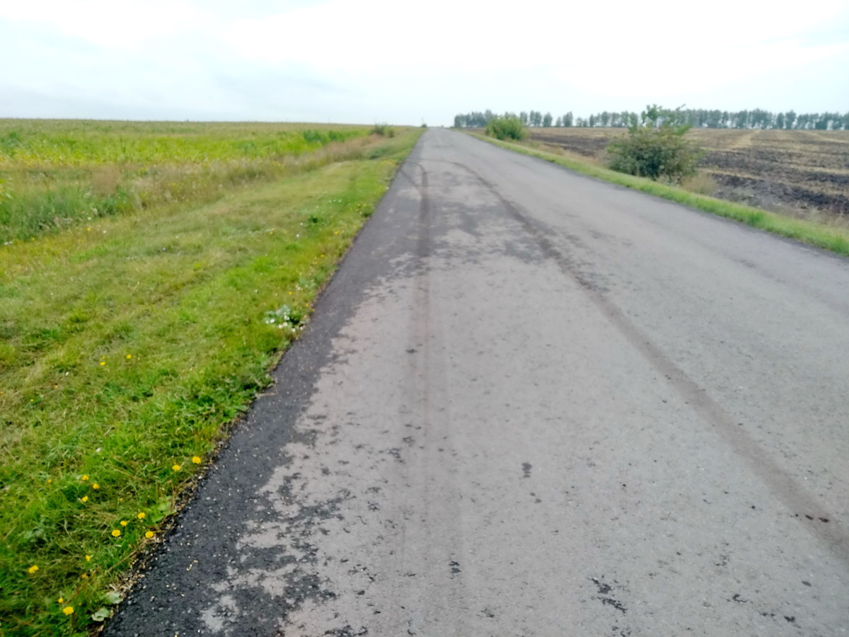 The road near the confluence