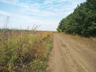 #11: Field road / Полевая дорога рядом с конфлюенцией