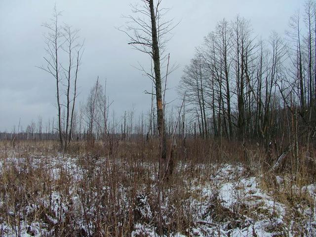 вид на север / a view to the north