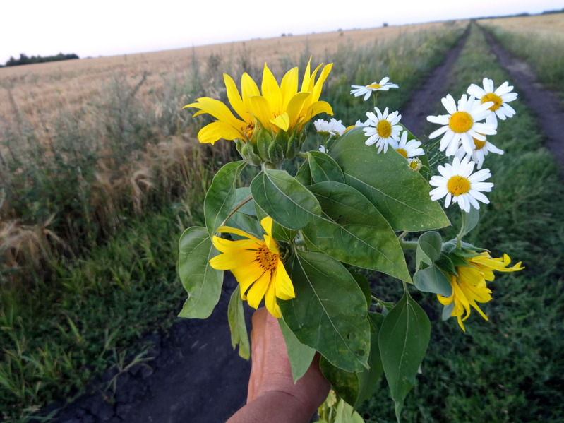 Field bouquet