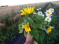 #10: Field bouquet