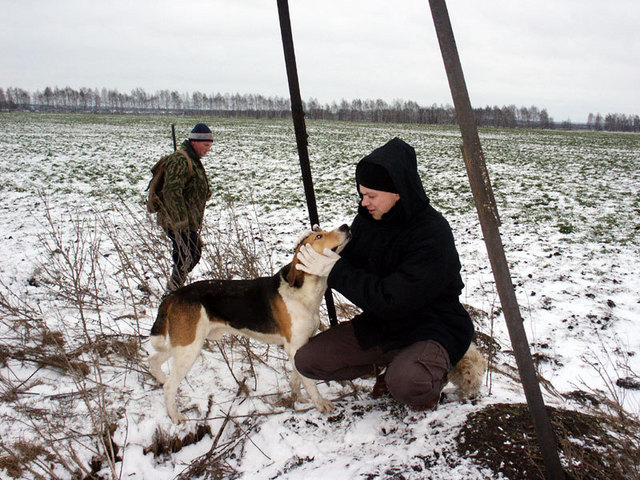 Confluence hunter (with dog) vs Fox hunter (with rifle)