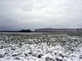 #3: View to the north