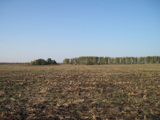 #1: North view