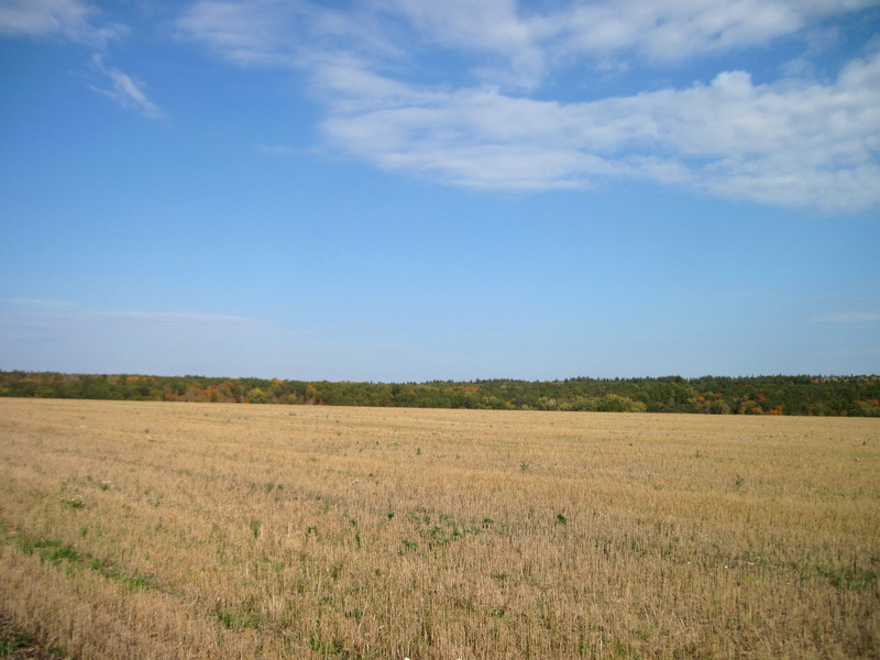 East view