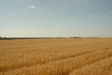 #4: South-west view