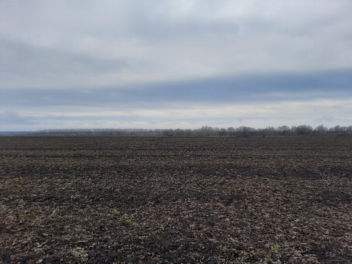 Вид на юг / View to the south