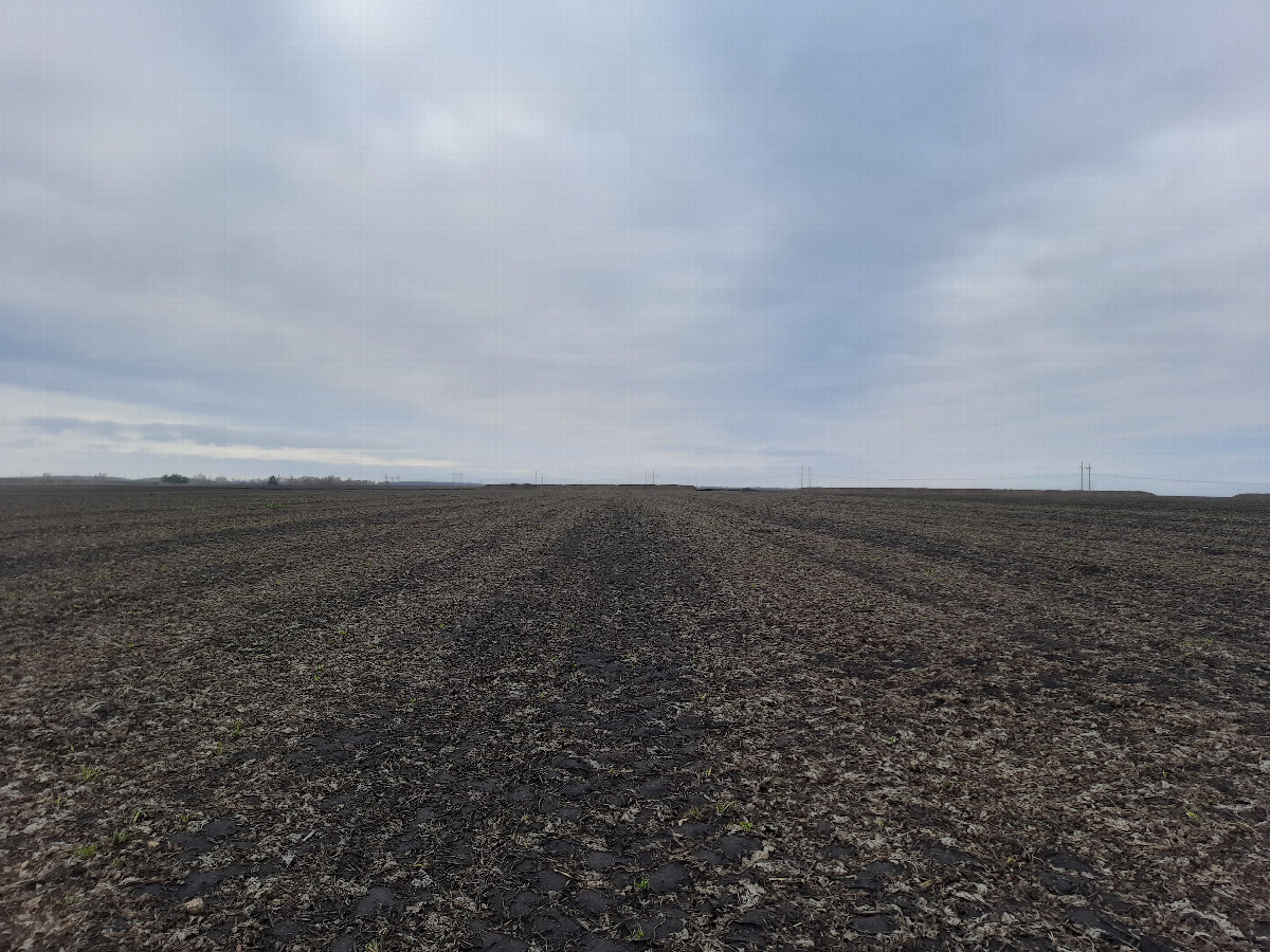 Вид на запад / View to the west