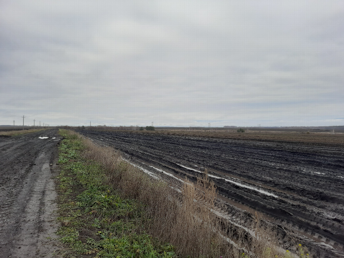 Начало пути / In the beginning of trip