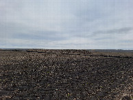 #10: Поле / Field