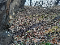 #13: Бобровая тропинка / Beavers's trail