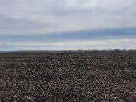 #4: Вид на юг / View to the south