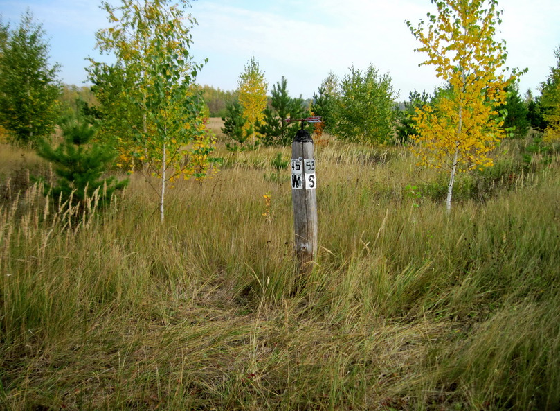 CP 53N 45E. Signpost.