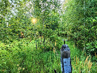 #3: Вид на восток / East