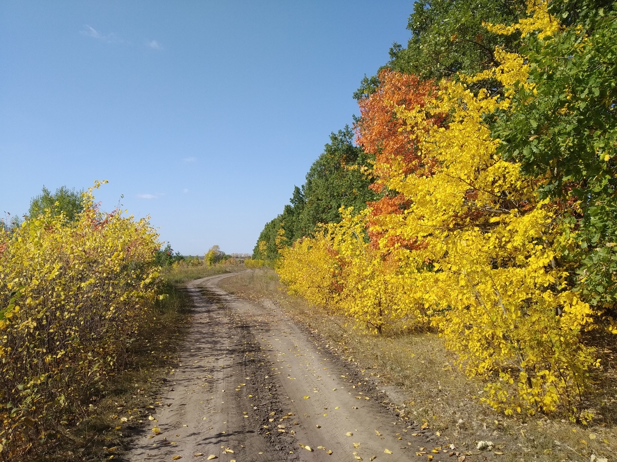 Осенние краски в начале сентября / An autumn paints at early September