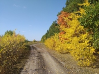 #9: Осенние краски в начале сентября / An autumn paints at early September