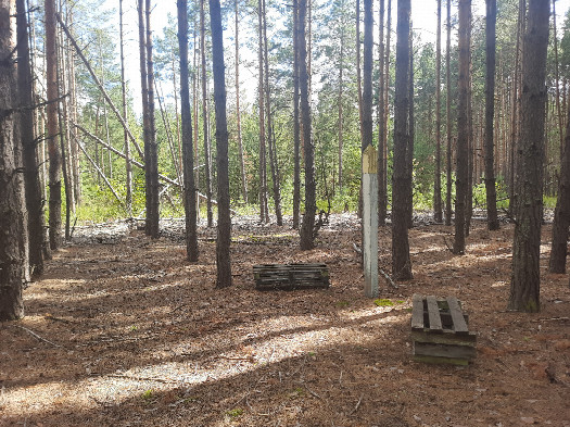 #1: Основной вид / General View