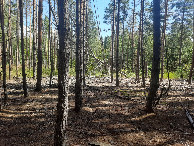 #3: Вид на восток / View to the east