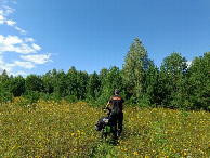 #7: Пешком по траве / Walking on the grass