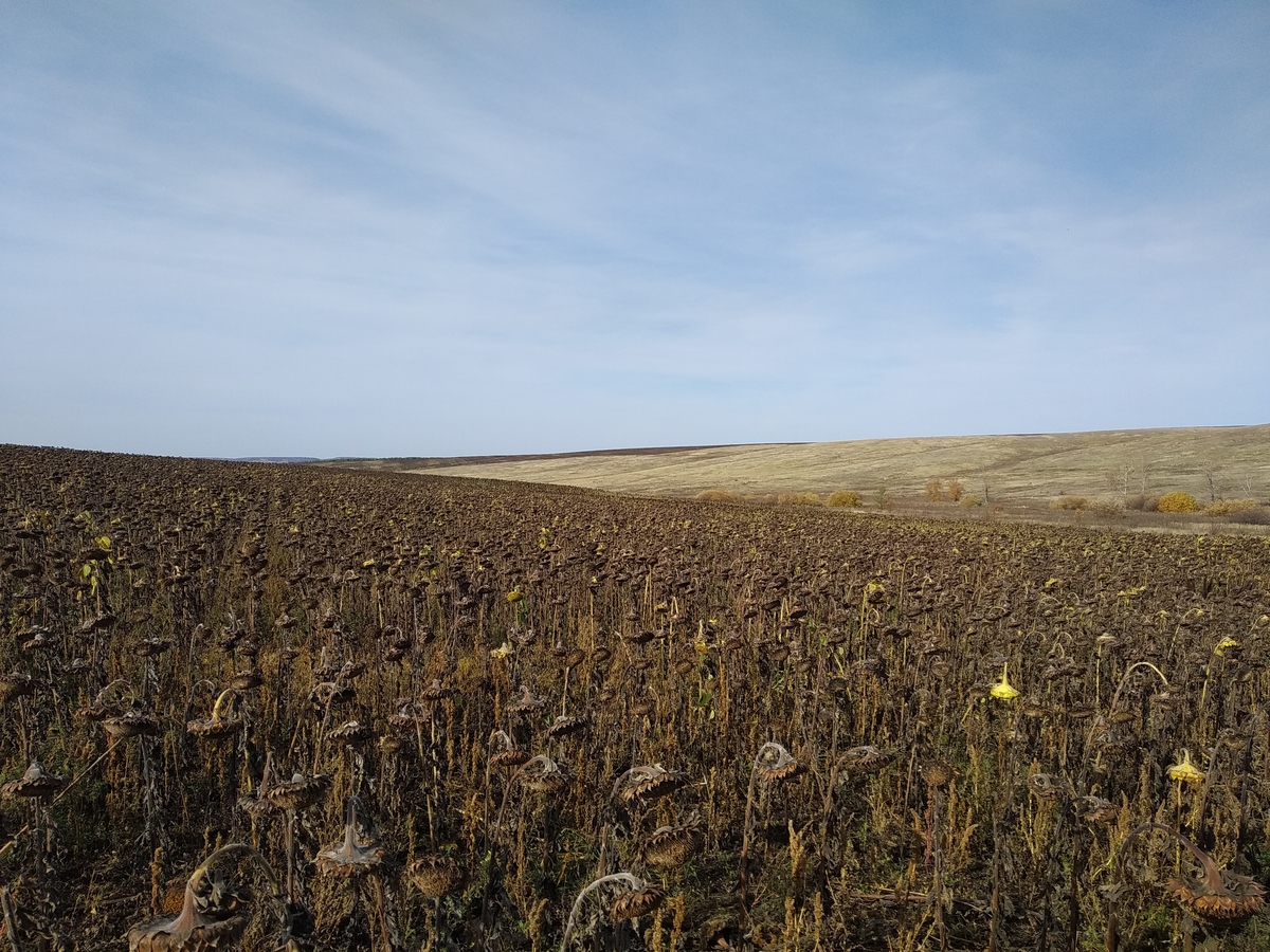 Общий вид / General view