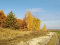 #10: Октябрьское утро / October morning