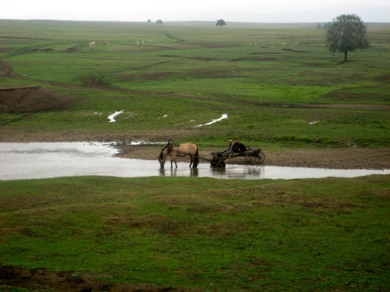 Сакмара у Темясово/Sakmara river near Temyasovo