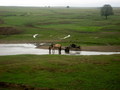 #12: Сакмара у Темясово/Sakmara river near Temyasovo