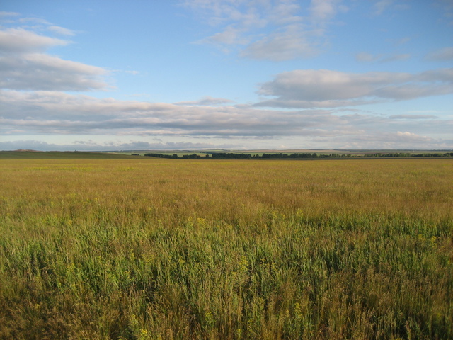General view