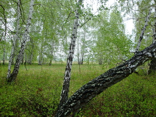 #1: На восток / Facing east