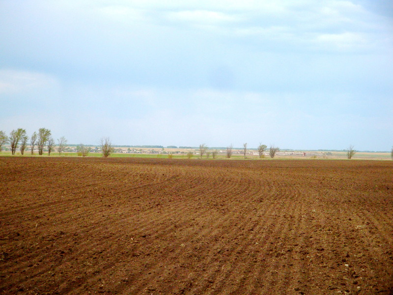 На север / Facing North