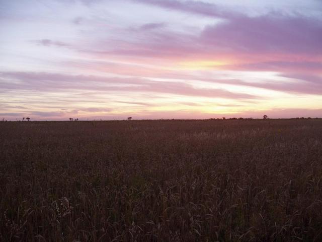 View from CP to the West.