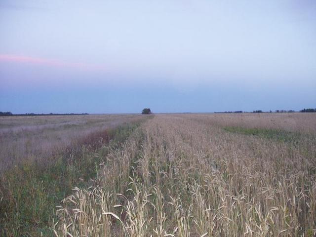 View from CP to the North.