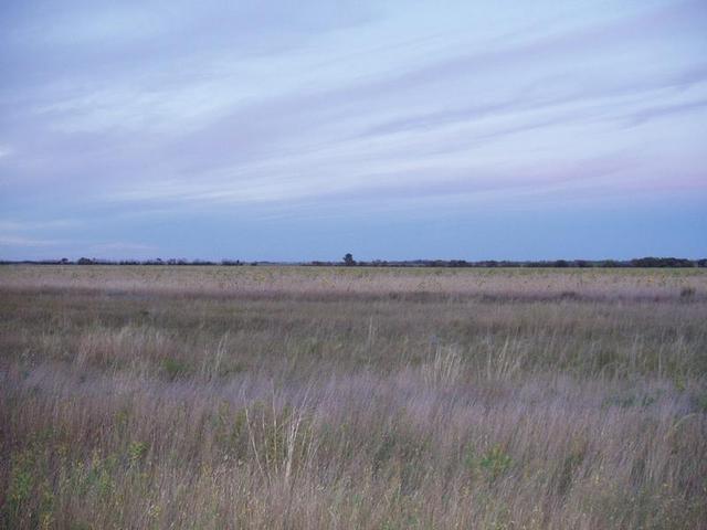 View from CP to the South.