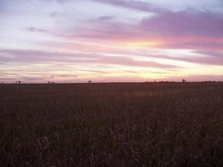 #1: View from CP to the West.