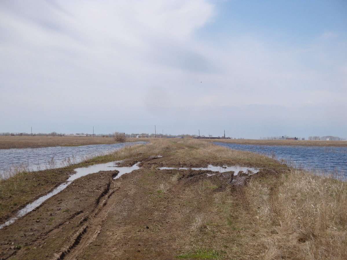 Весенняя дорога / Spring road