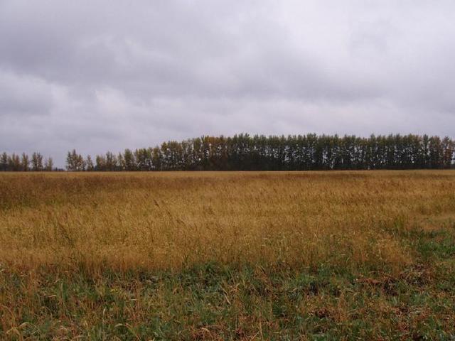 Looking from the confluence West.