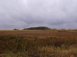 #1: Looking from the confluence North.