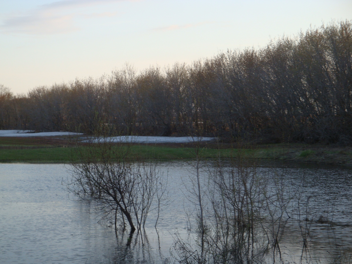 Весенние вода и снег / Spring water and spring snow