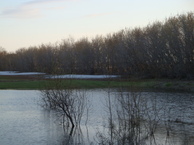 #10: Весенние вода и снег / Spring water and spring snow