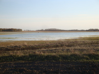 #8: Только вода и грязь / Only water and mud around