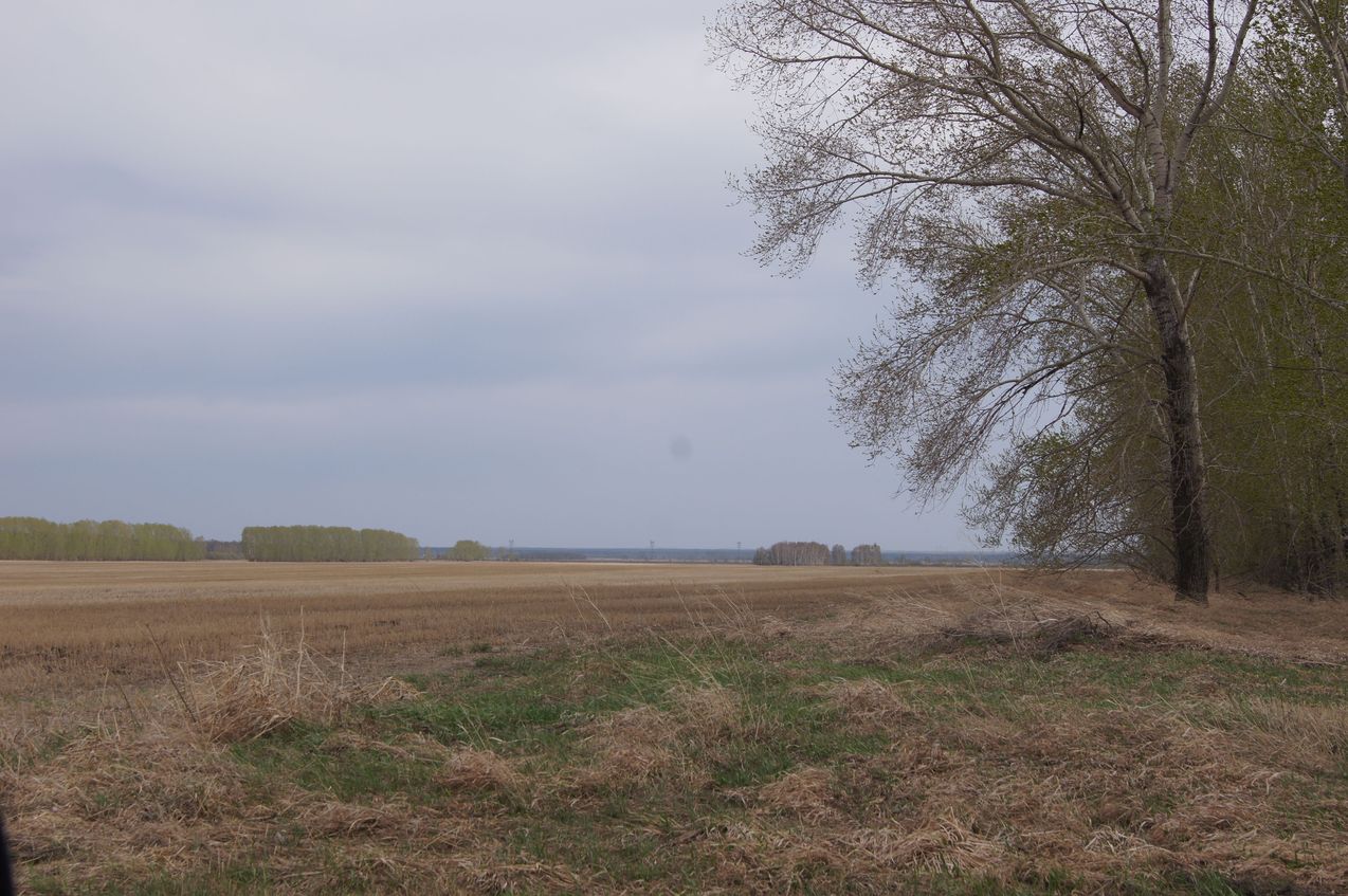 Местный пейзаж / Local landscape