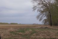 #8: Местный пейзаж / Local landscape